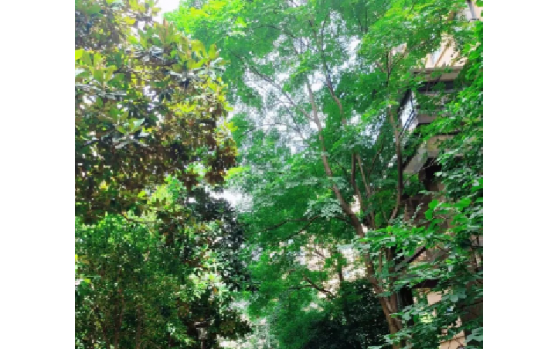 互學(xué)互鑒，共促提升
